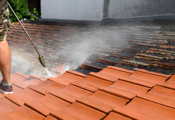 Best Pressure Washing Contractors  in Grand Island, NE